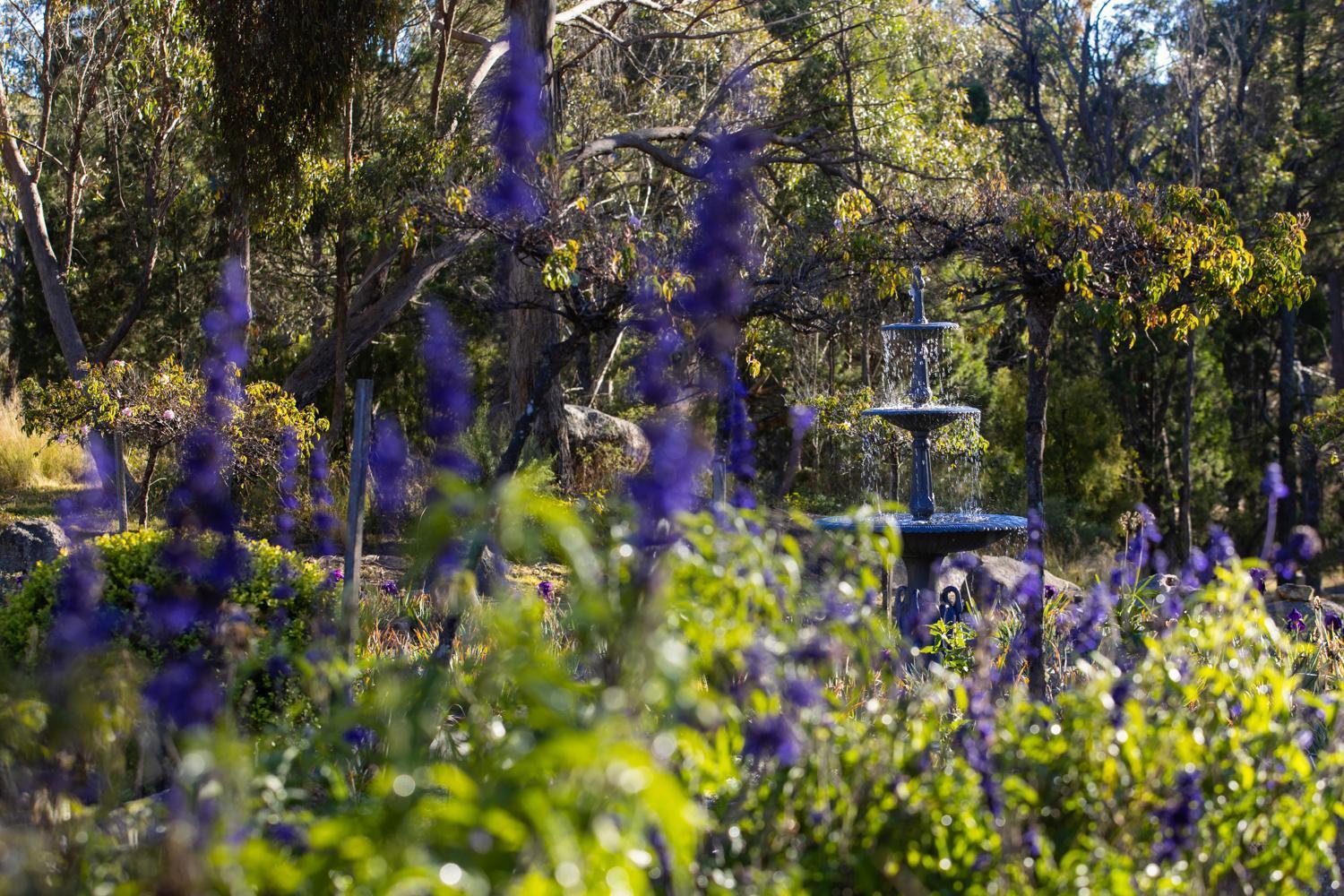 Girraween Country Inn Ballandean Exterior photo